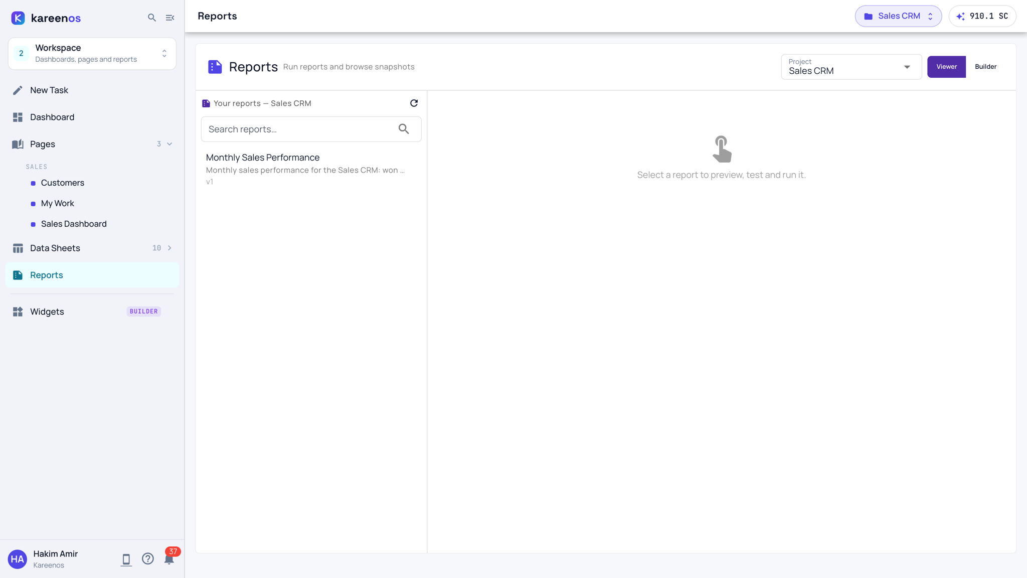The Reports page in the Workspace: the Project picker and the Viewer and Builder switch at the top right, the project's reports listed on the left, and the preview area on the right